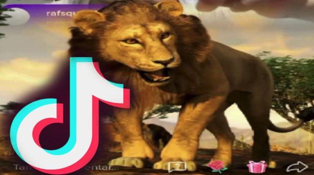 Harga Gift TikTok Singa: Penilaian Dan Faktor Harga Hadiah