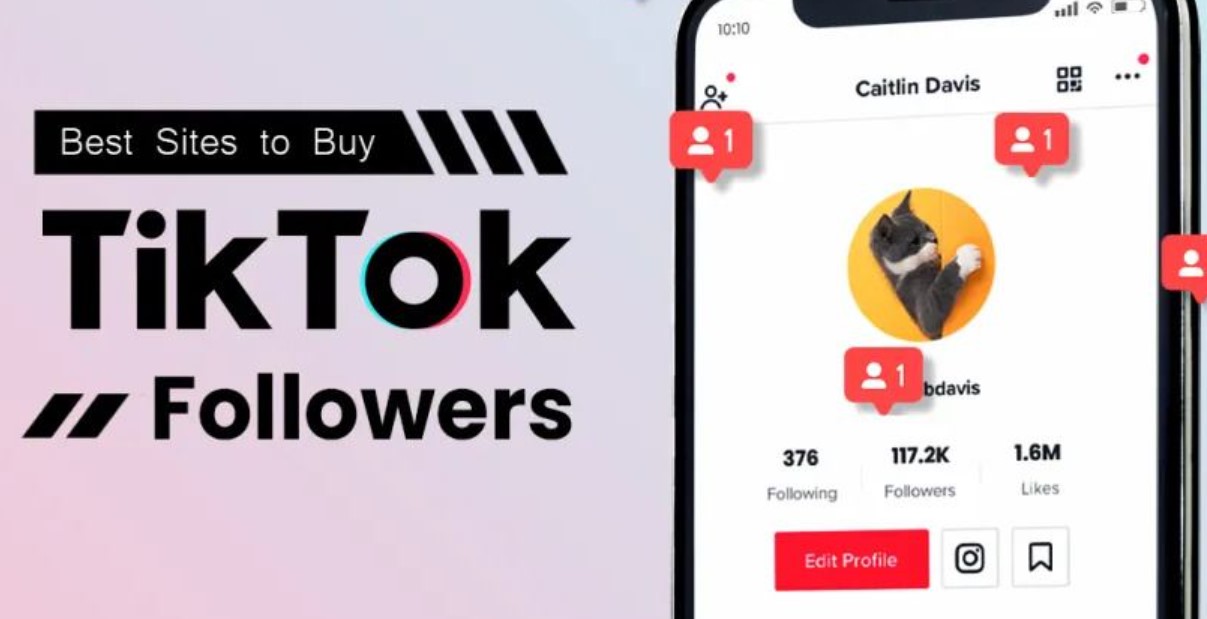 Beli Followers TikTok Aktif Murah: Membangun Pengaruh dengan Investasi yang Terukur